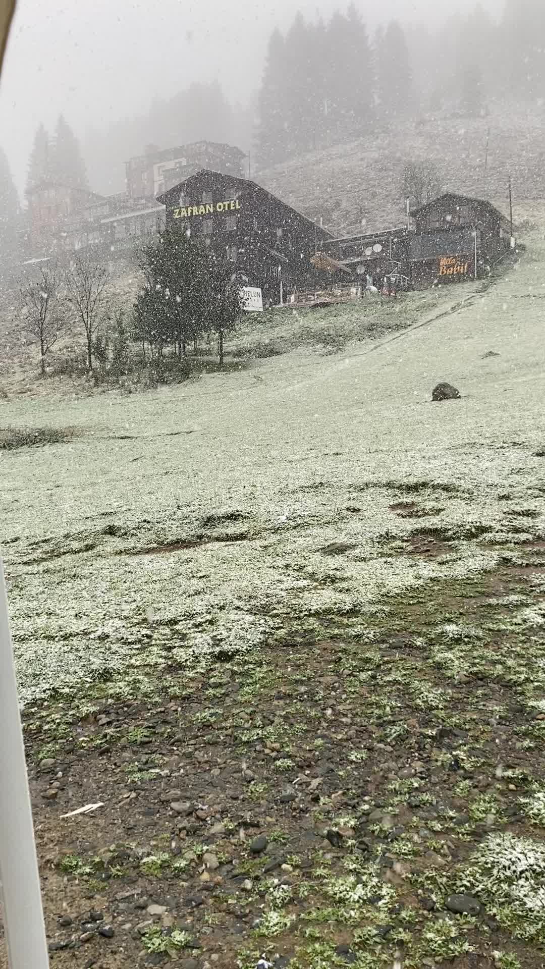 @Hilmi Olgaç