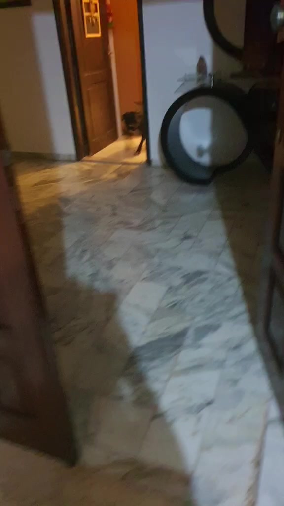 @Alina Protasova