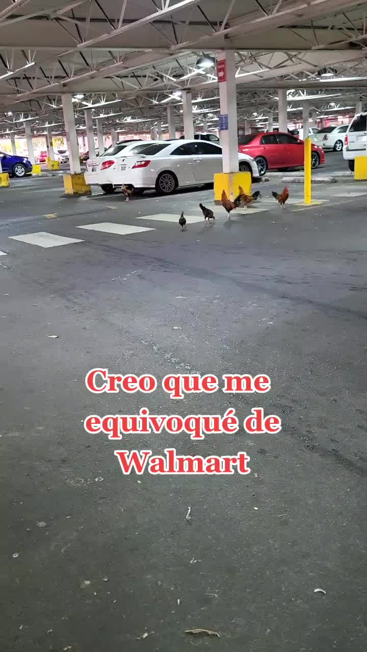 @Johanniebonilla