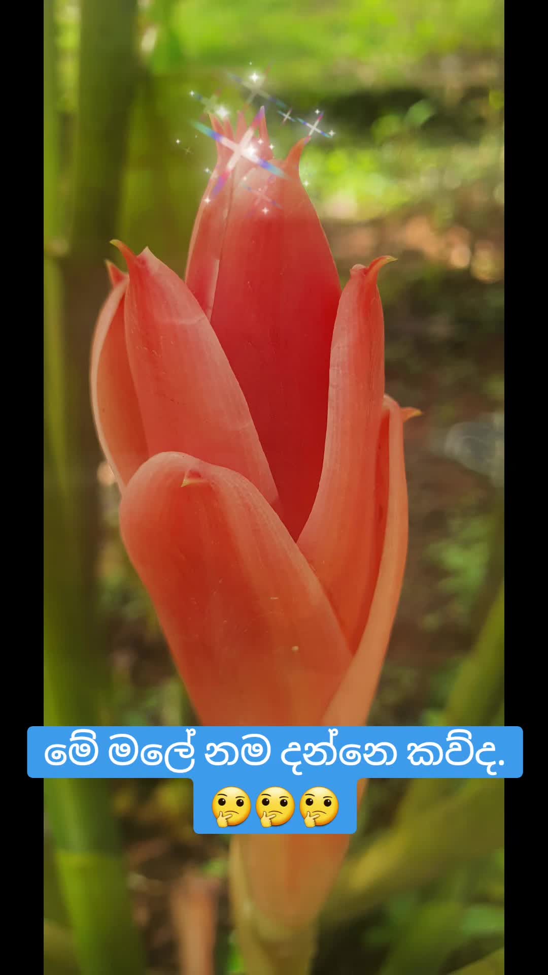 @නෙතුශි උමයන්ගනා