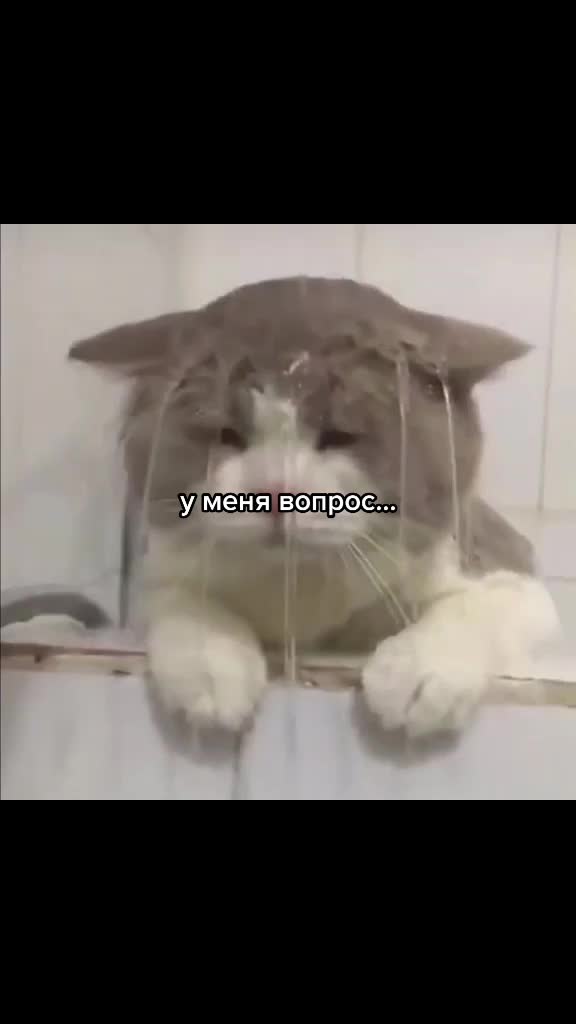 @комертат