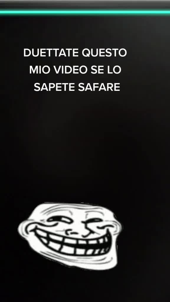 @gatto
