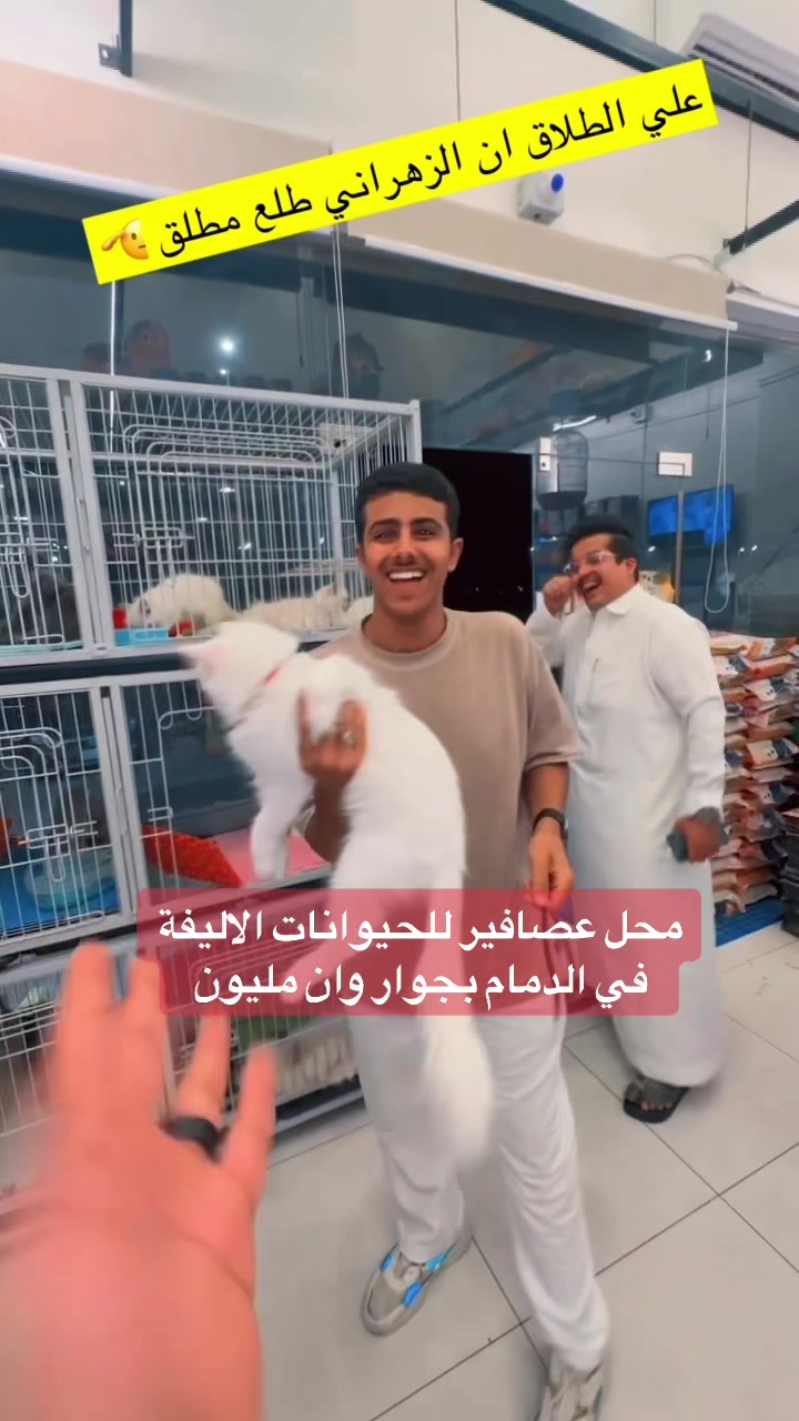 @سعد باشا القحطاني Saad Basha
