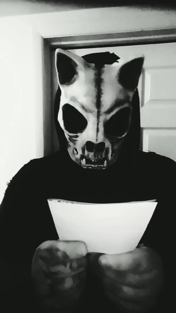 @R3B3L_V01D