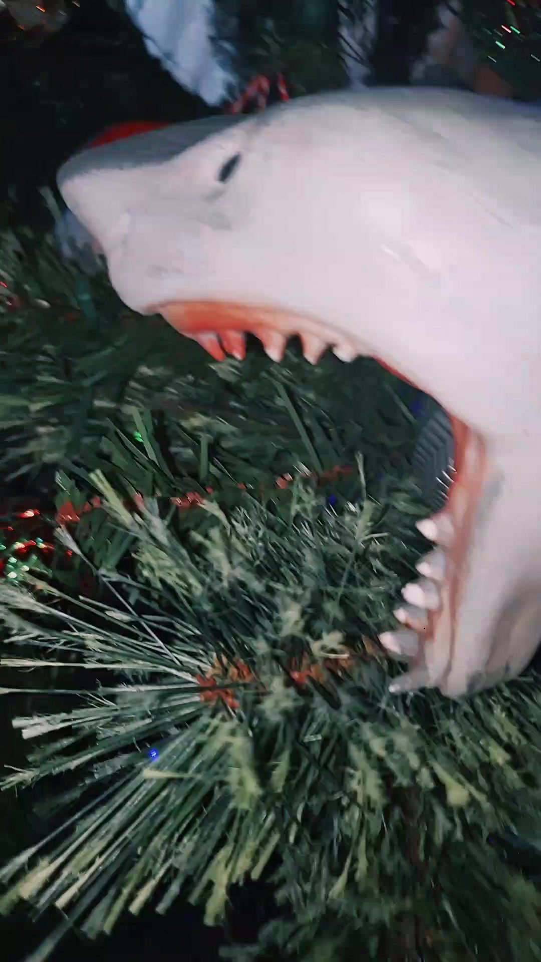 @Sharky 🦈