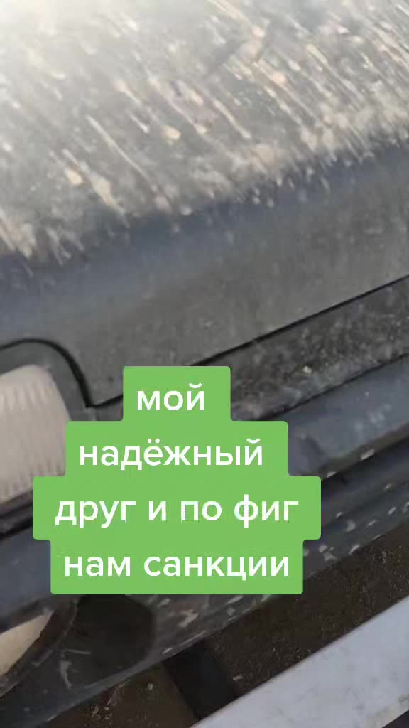 @life_vsele