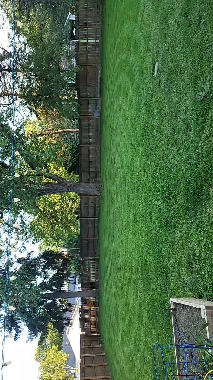 @The_Lil_Camel