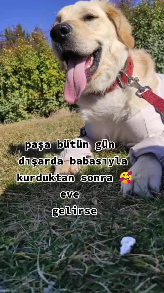 @Busra Melis
