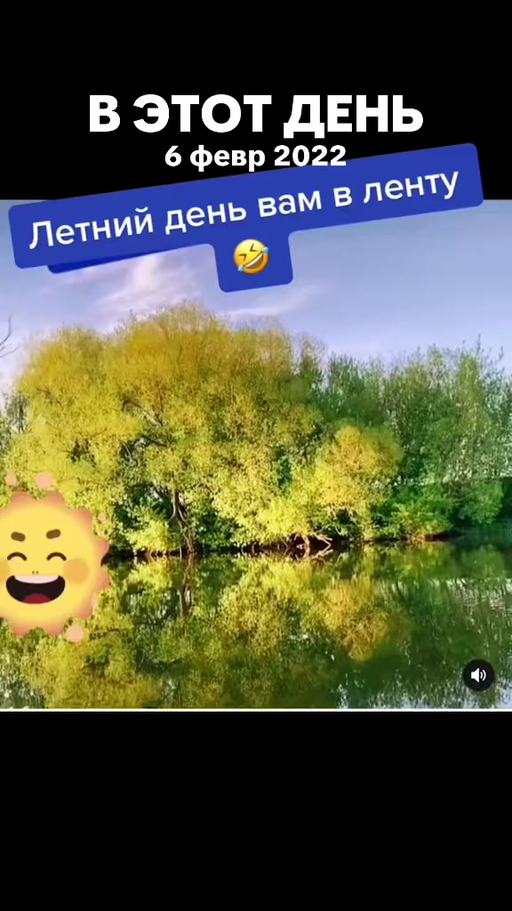 @vitochca1707