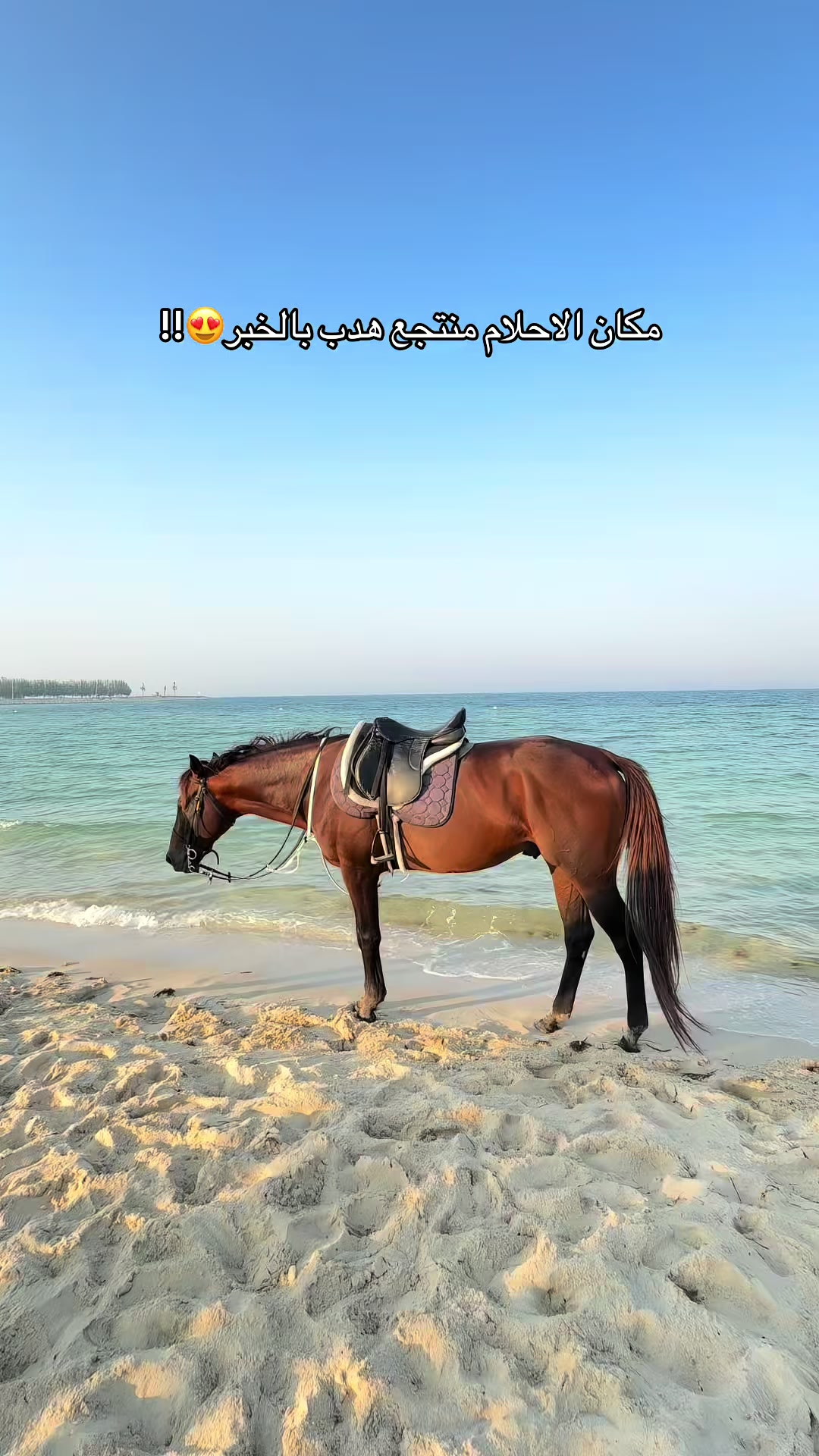 @تغطيات الرياض | SR ⭐️