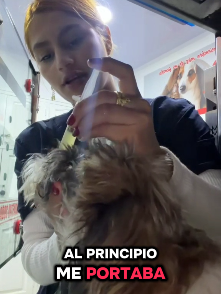 @Cl&iacute;nica la Vet Oriente