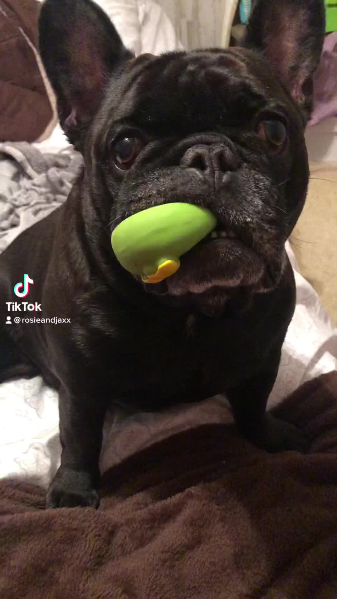 @NannyT