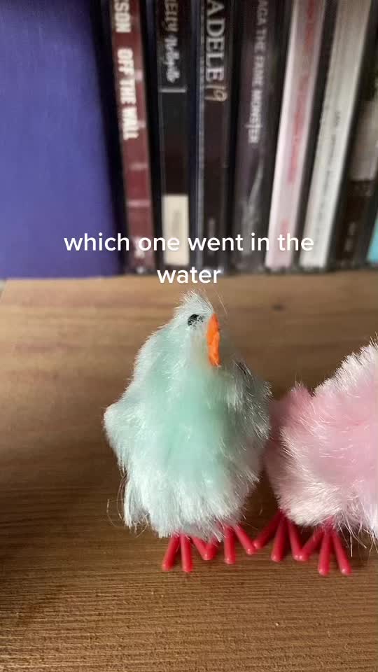 @seanz