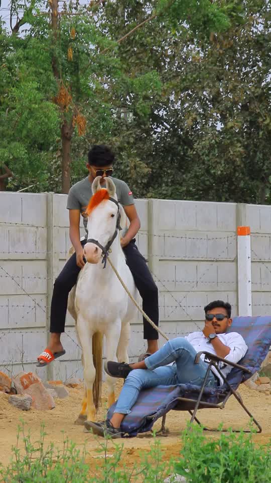 @Yuvibha Horse lover