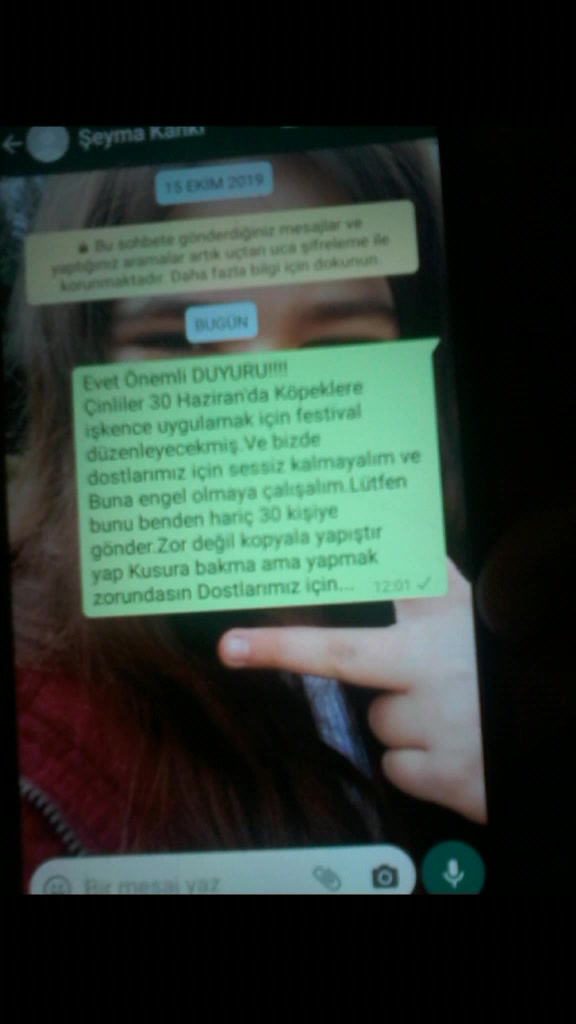 @ELA 2010