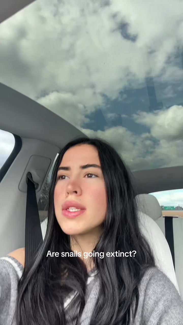 @BellaBonita