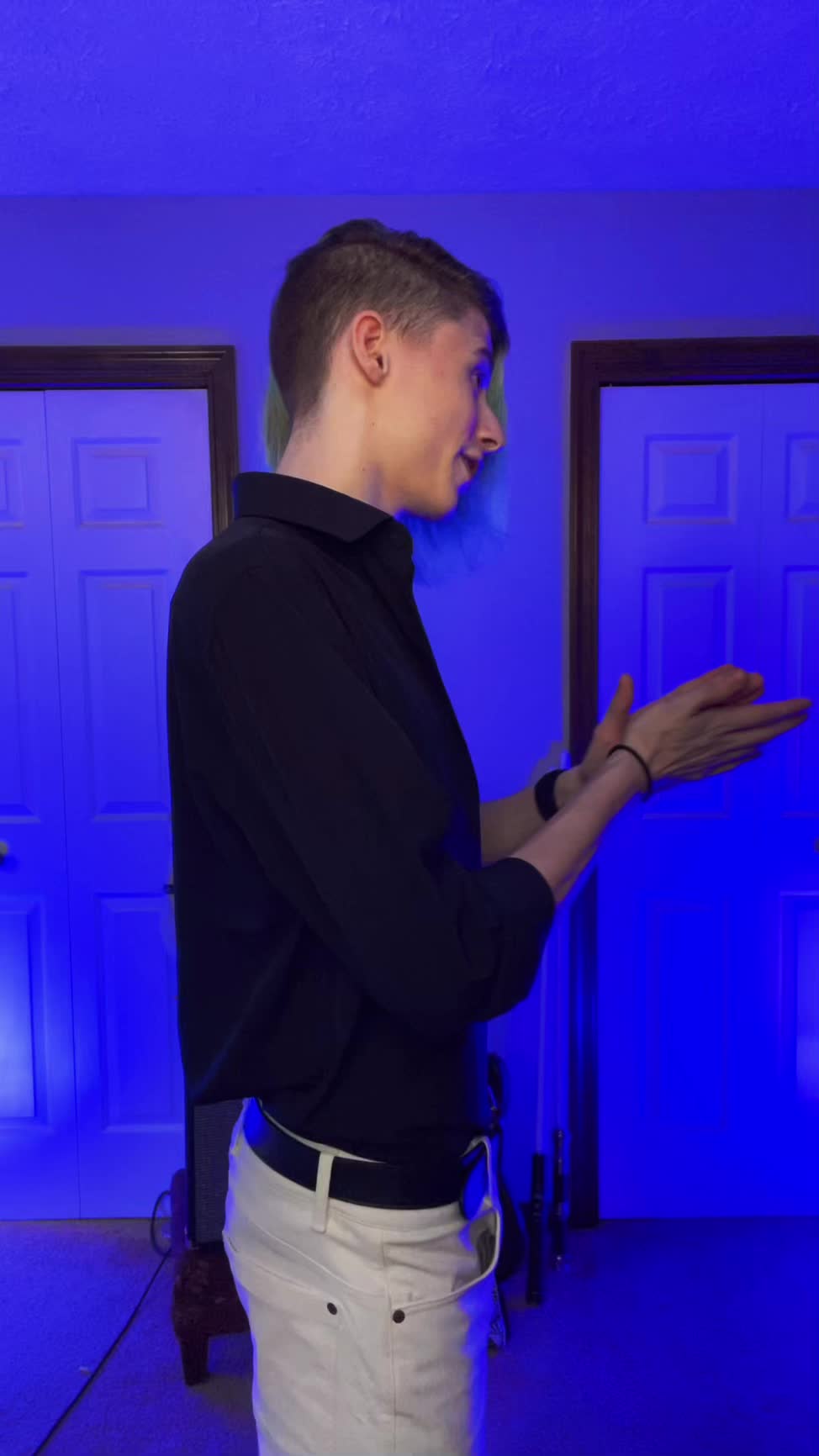@HoloGoose