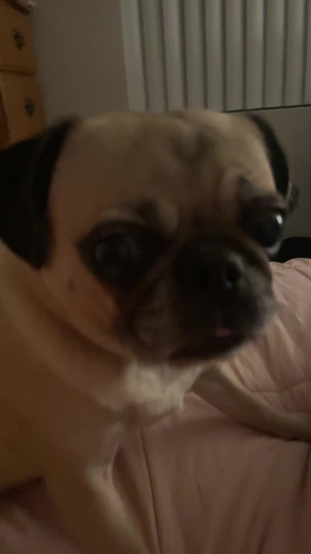 @Paul