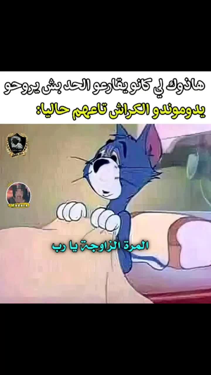 @fadi_dz_ff