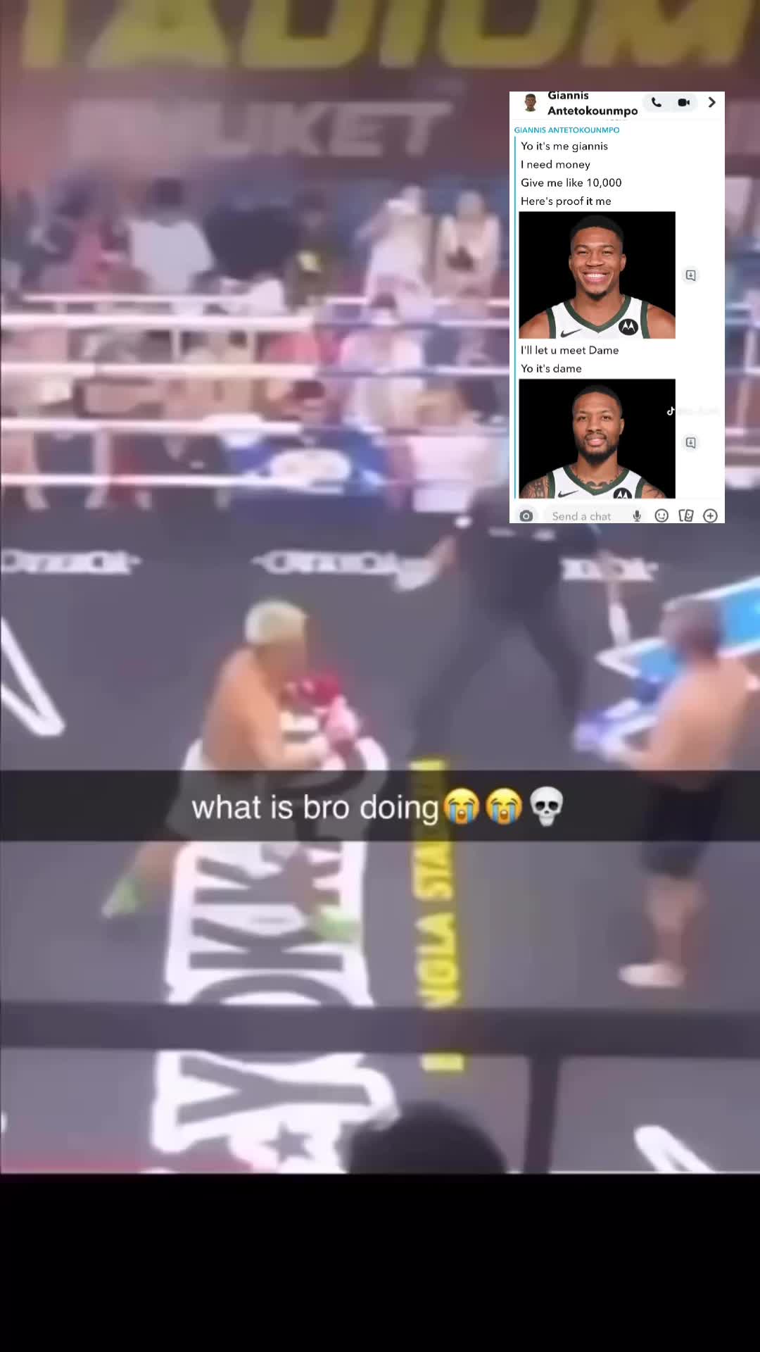 @DailyFunnyVids