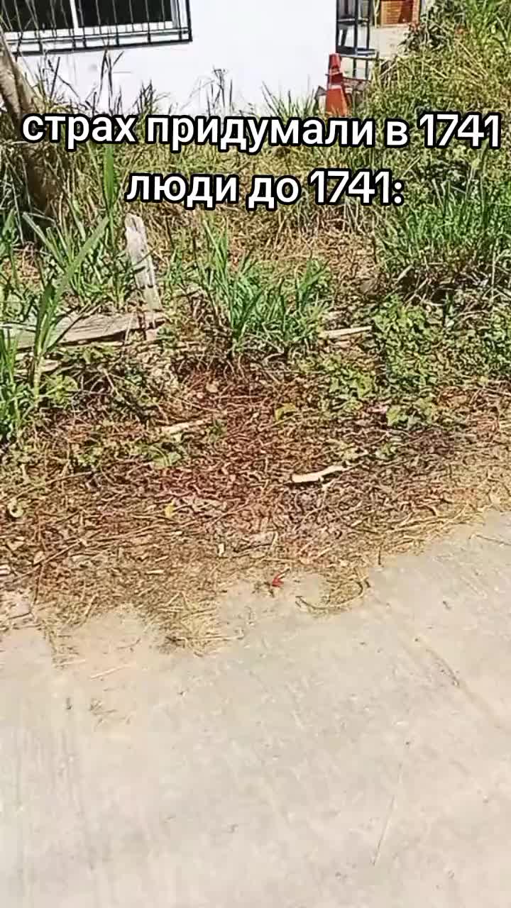 @HHsn