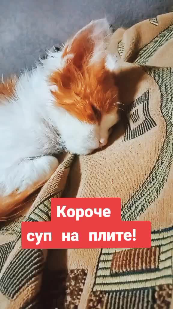 @Мои звери