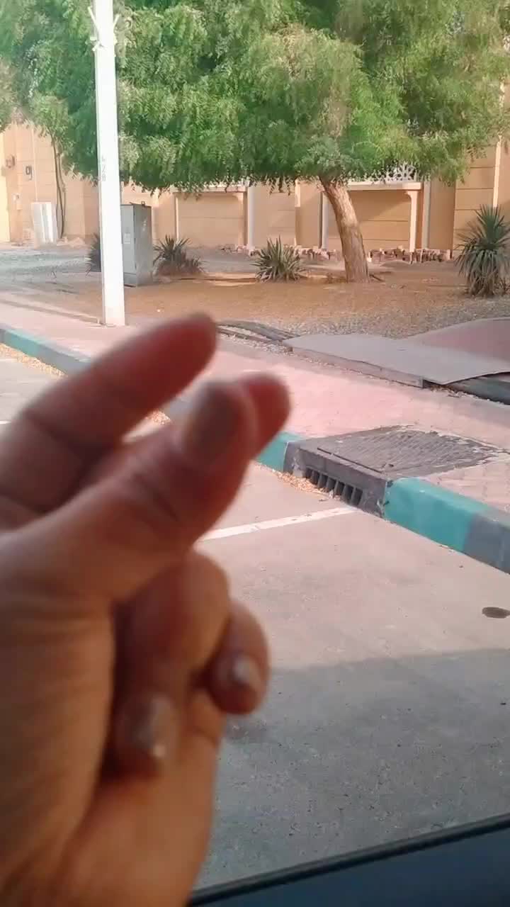 @Anlynmitted