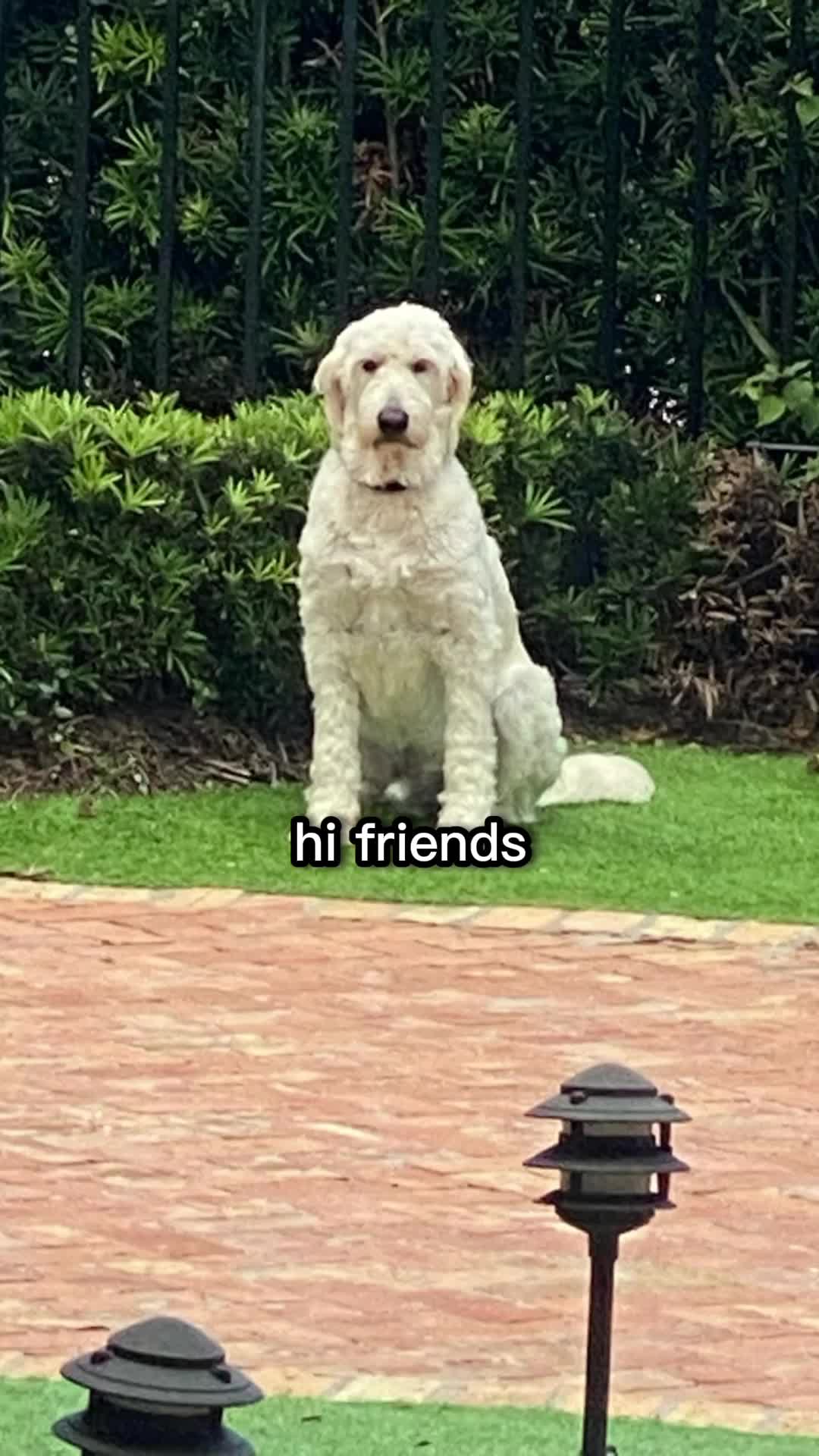 @danielle.shapiro