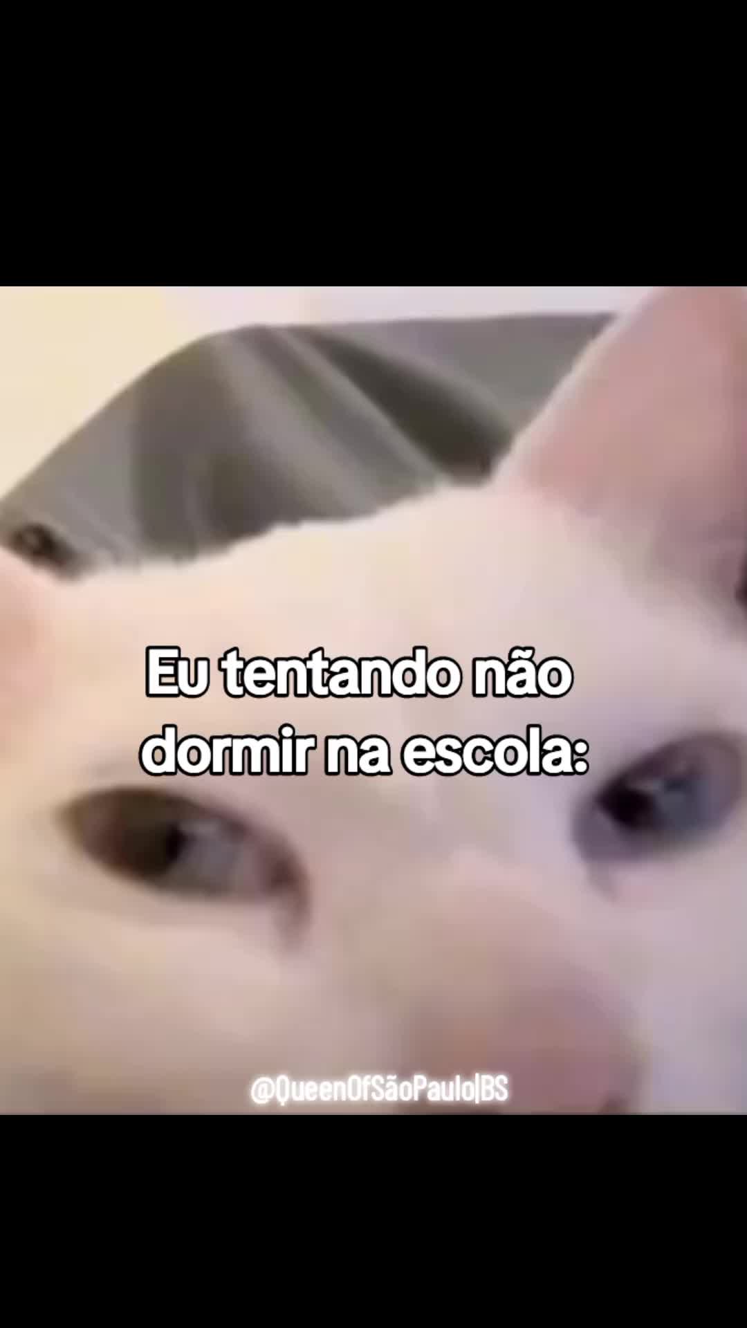 @M&iota;gᥙᥱᥣ gᥙᥱᥣ 🐇