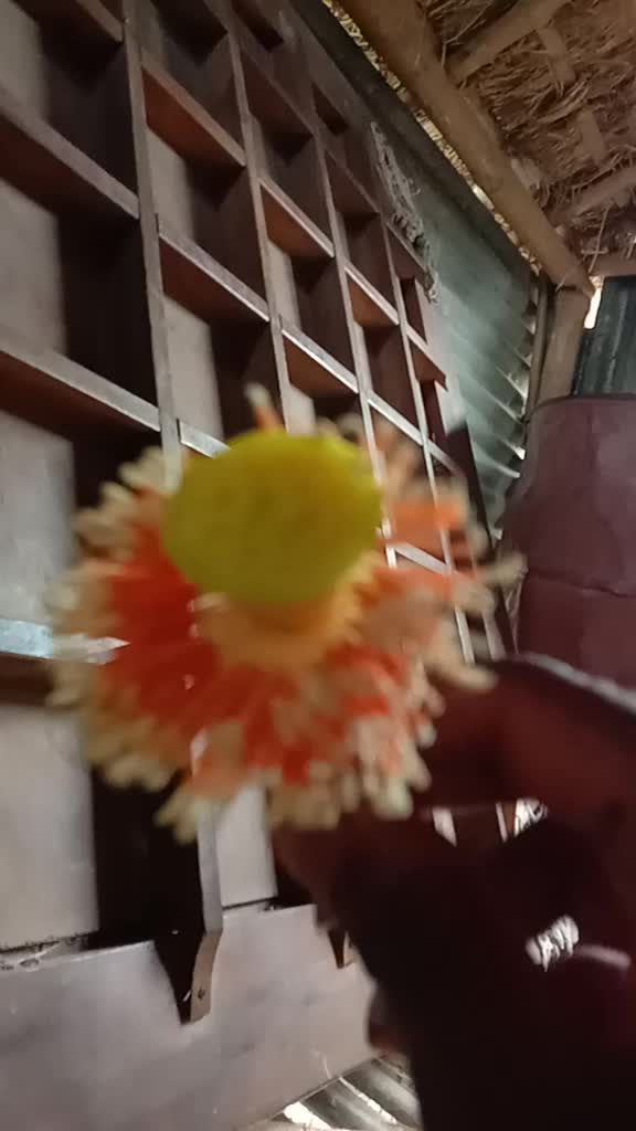 @Rahaman Sk