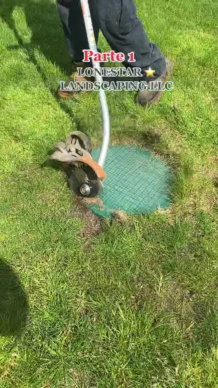 @ElChamakon720