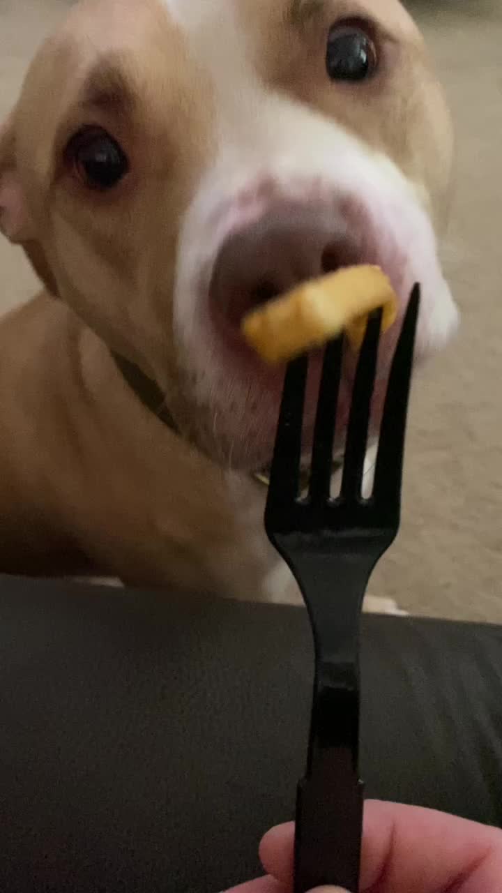 @Sky French Fry 🍟