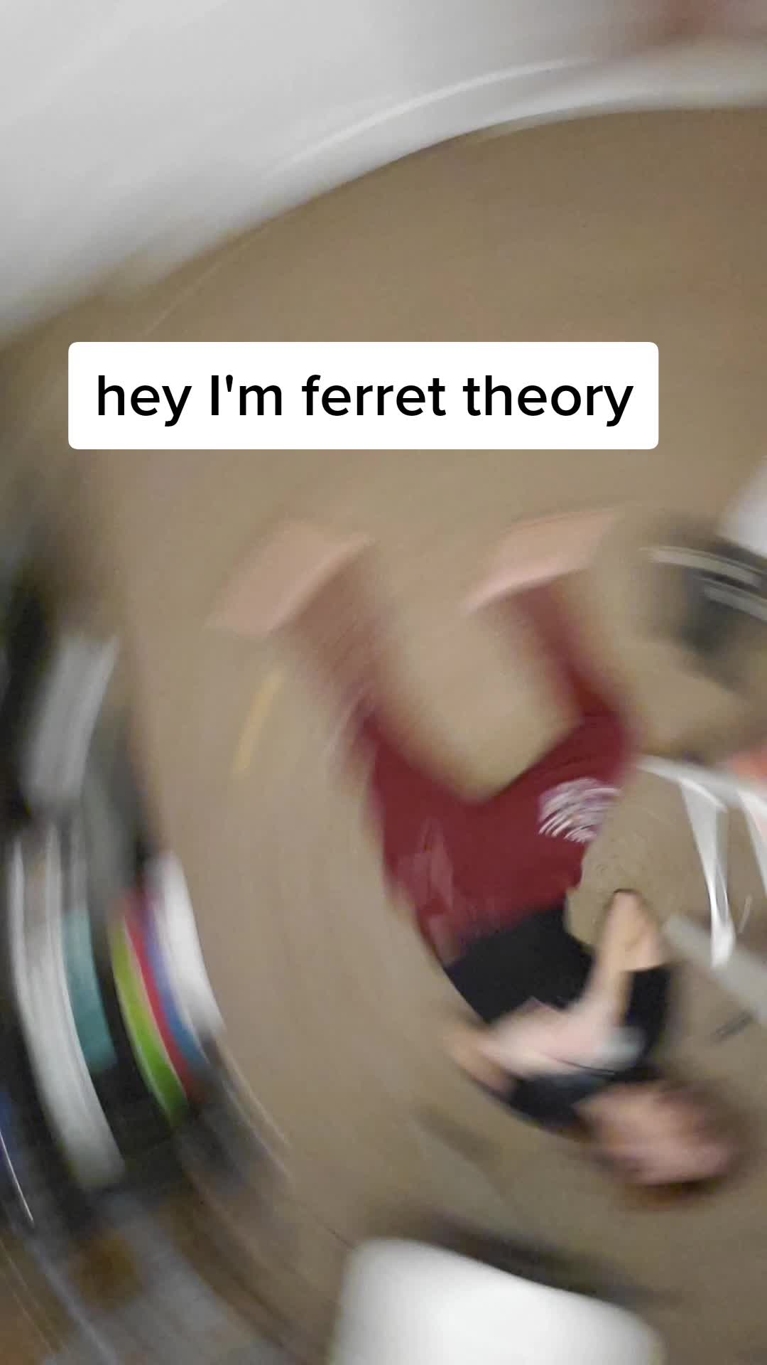 @Ferret Theory