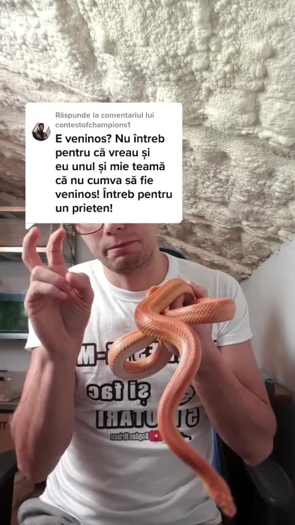 @Bogdan Hriscu