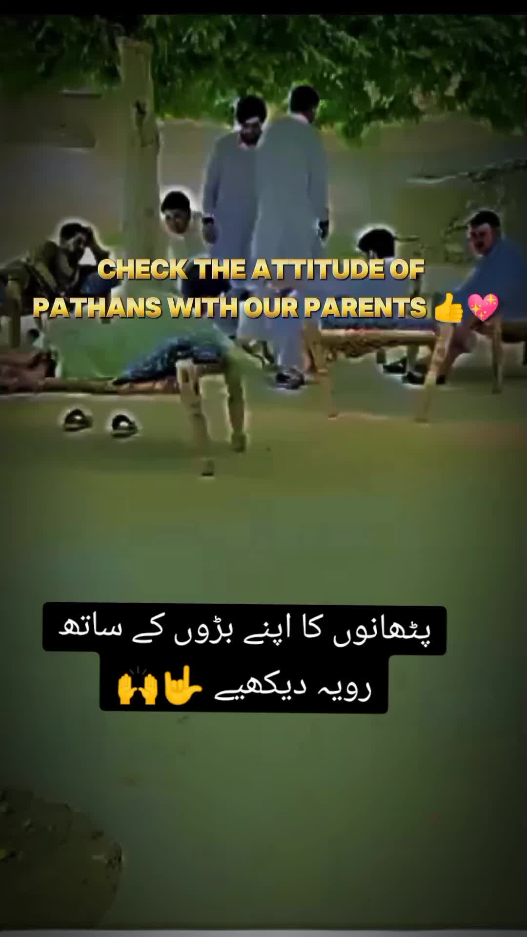 @⚔️ ٣١٣ ⚔️