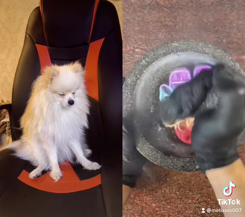 @Карина
