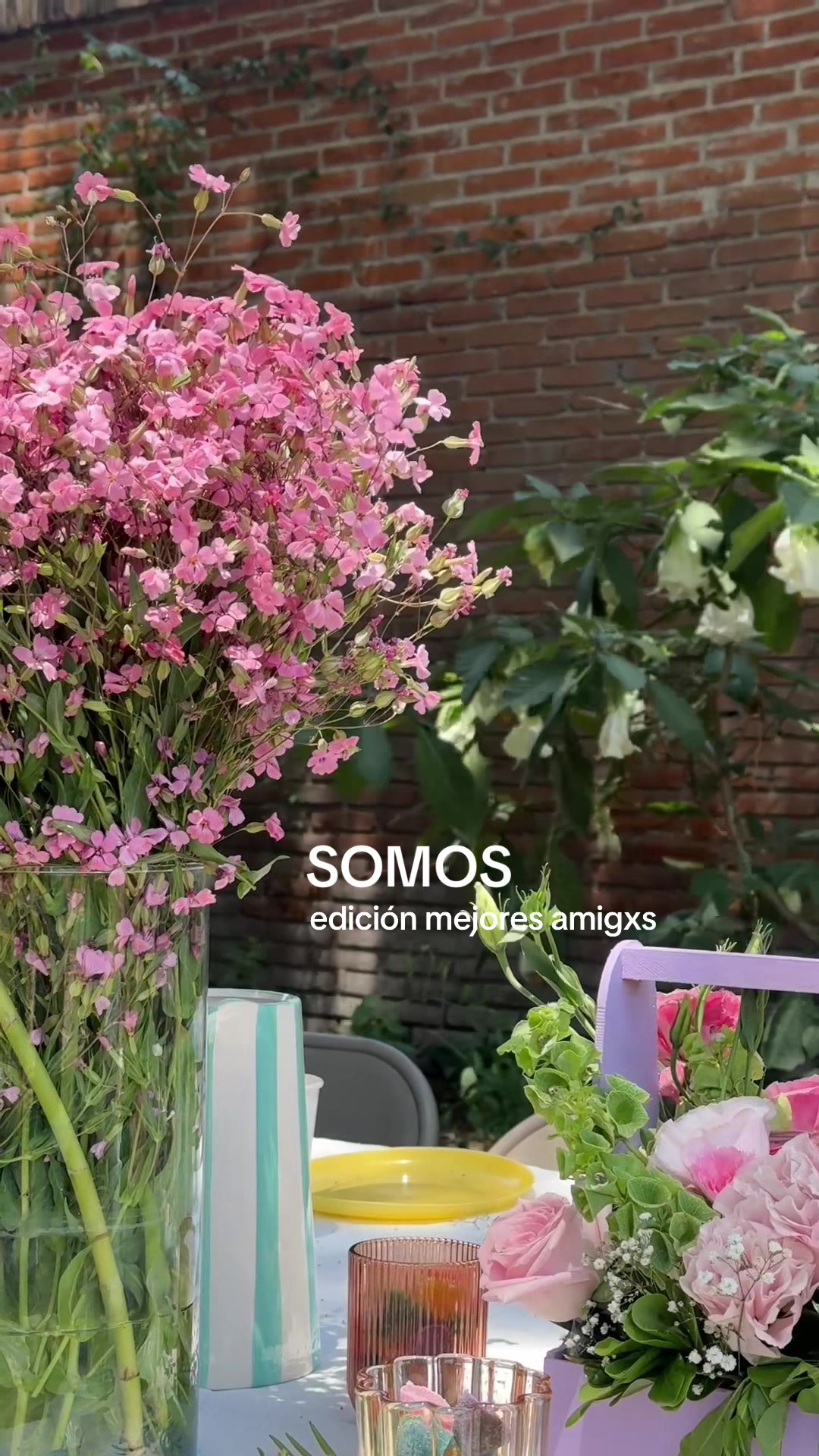@somos________