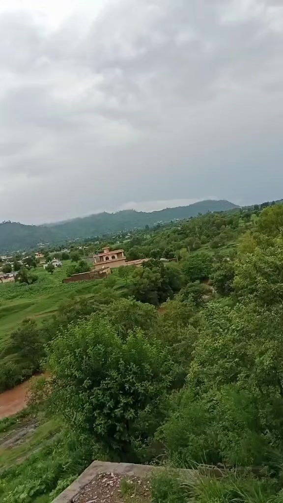 @𝙆𝙖𝙨𝙝𝙢𝙞𝙧𝙚𝙟𝙪𝙩𝙩🍁کاشر