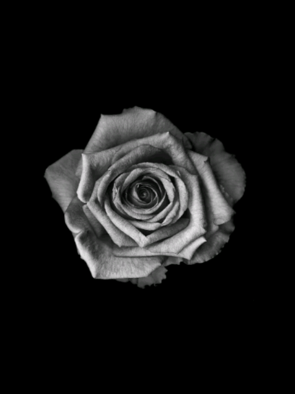 @𝐒𝐓𝐀𝐑'𝐒