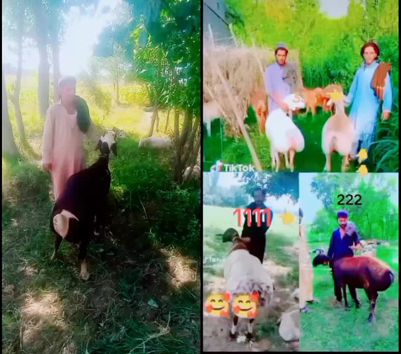 @shahshahbazkhan