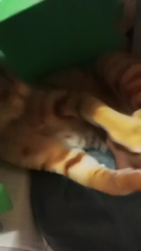 @Пбиджик