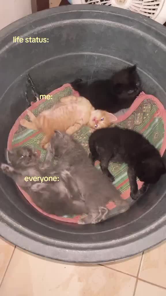 @nostalgia