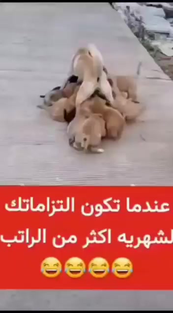 @Mohmd ahmd