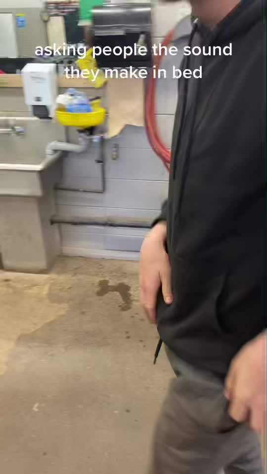 @daltonheus