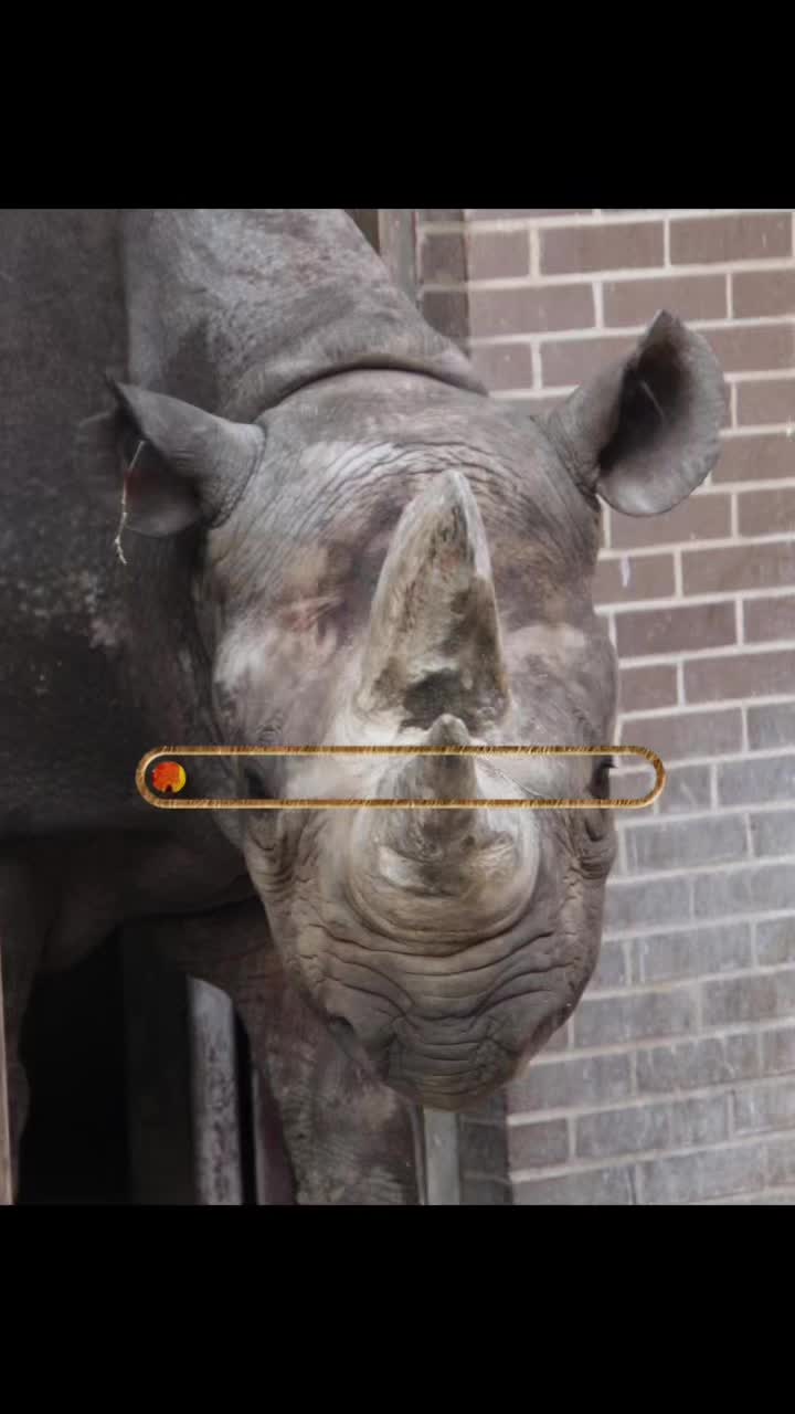 @ZookeeperTanner