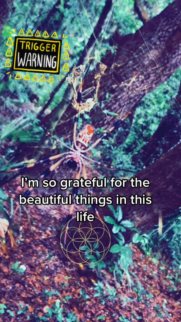 @Avi