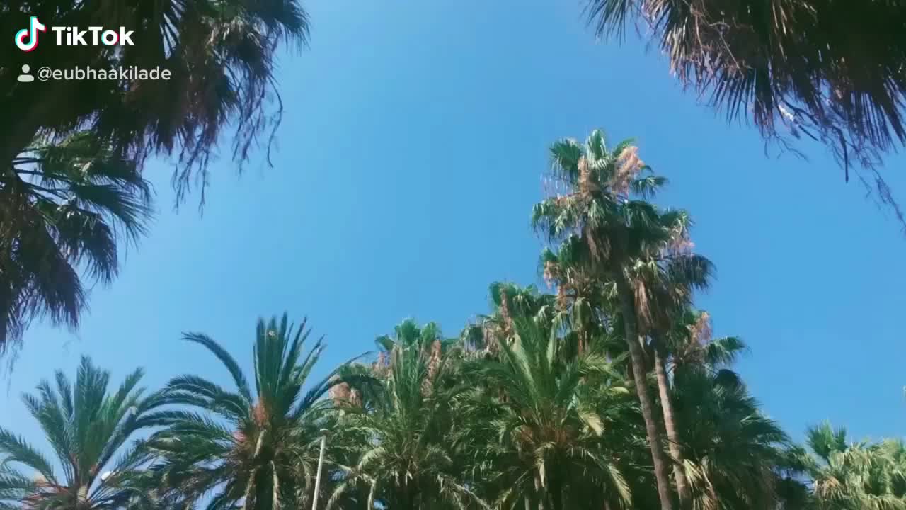 @Eubha Akilade