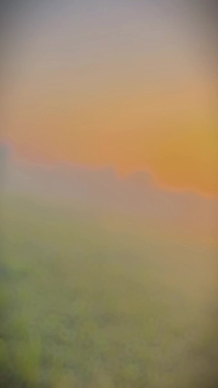 @فضلی❤