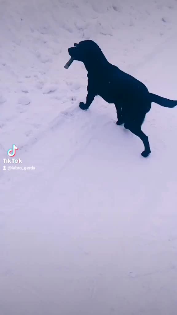 @Герда