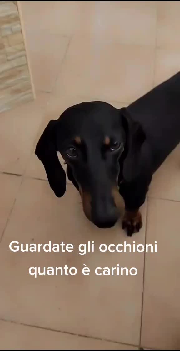 @annajustin
